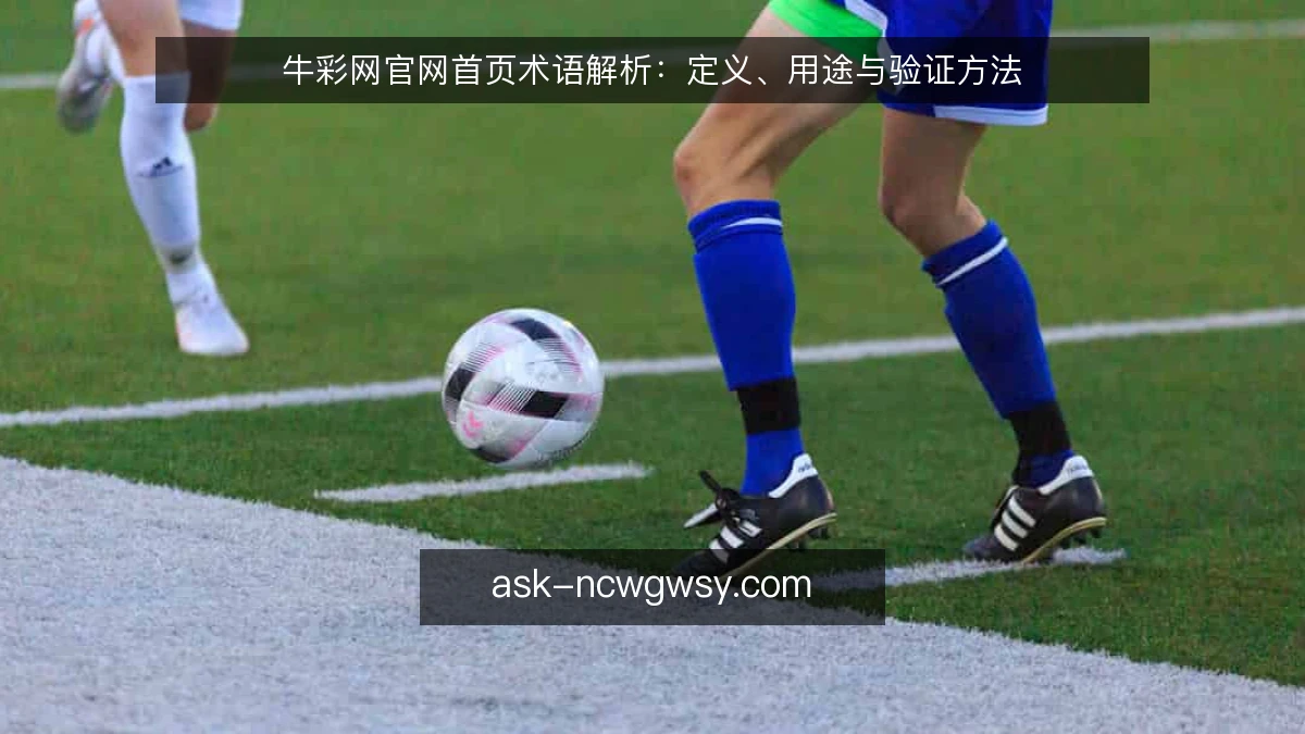 牛彩网官网首页术语解析：定义、用途与验证方法