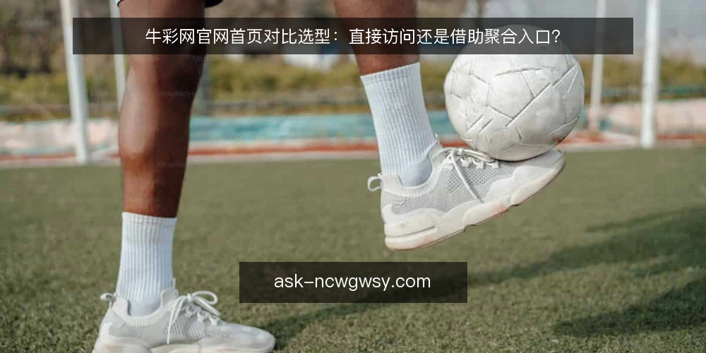 牛彩网官网首页对比选型：直接访问还是借助聚合入口？ — 先明确对比选型的判断标准 配图