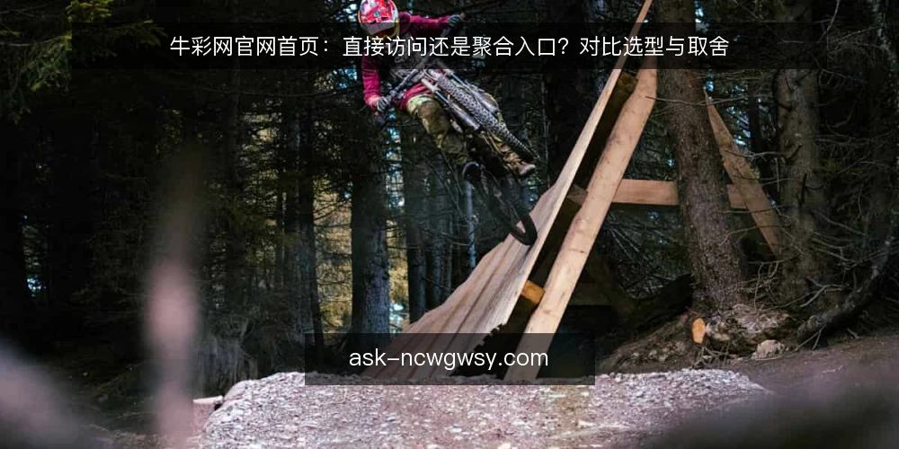 牛彩网官网首页：直接访问还是聚合入口？对比选型与取舍 — 先定取舍标准：怎么比才不跑偏 配图